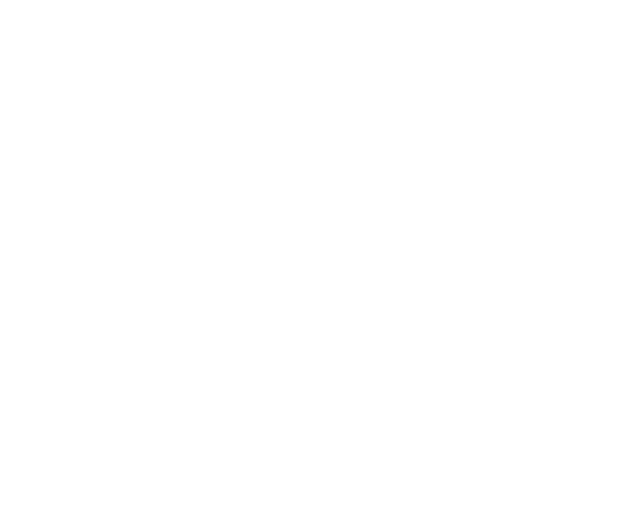 Castle_Logo_White